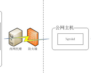 群晖nas使用教程27：Zero Tier内网穿透