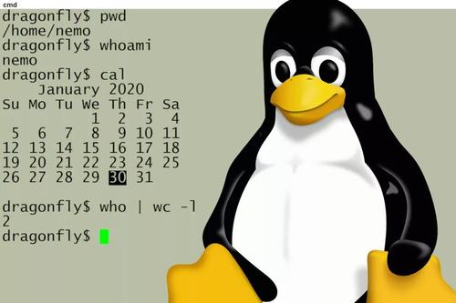 linux使用篇一：linux命令的使用大法